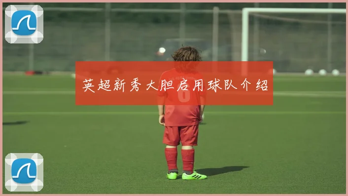 英超新秀大胆启用球队介绍