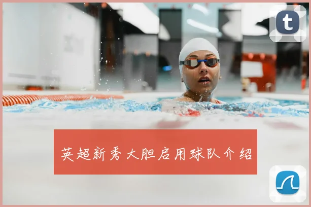 英超新秀大胆启用球队介绍